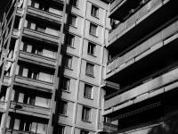 David AMADIEU - AMADIEU DAVID