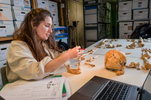 Alain DOUCE - ALAIN DOUCE